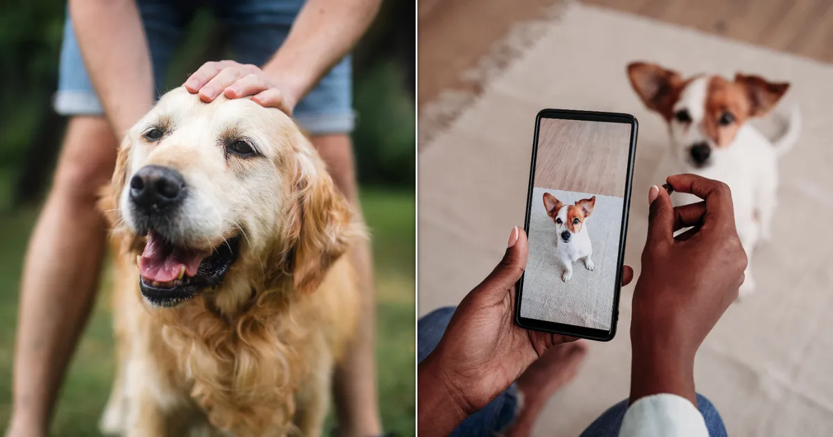 The Most Popular Dog Names Of 2025