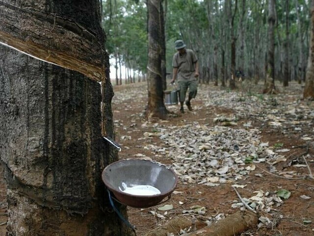 Japanese rubber futures soar
