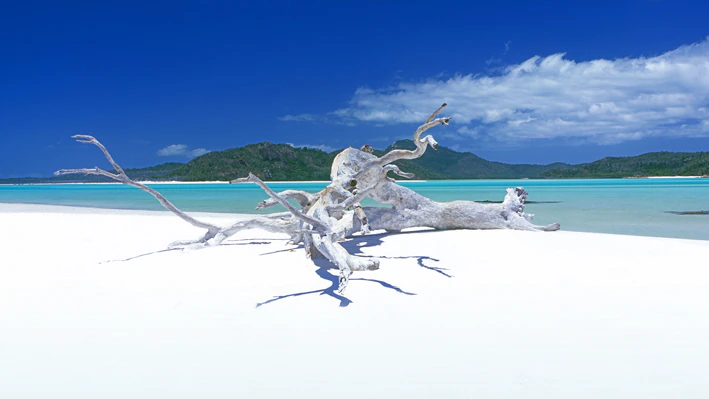 Photographer takes on wealthy island operators over art classes