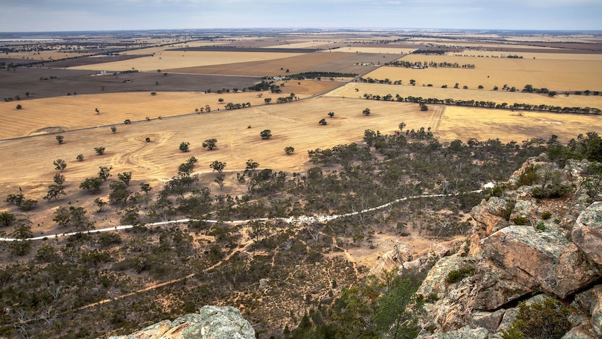 Controversial rare earth mine in Victorian town fast-tracked by government deal