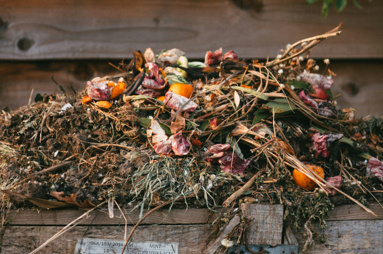 Against “Ecological Consciousness”: Why We Need Ecological Literacy, Not Mystified Unity