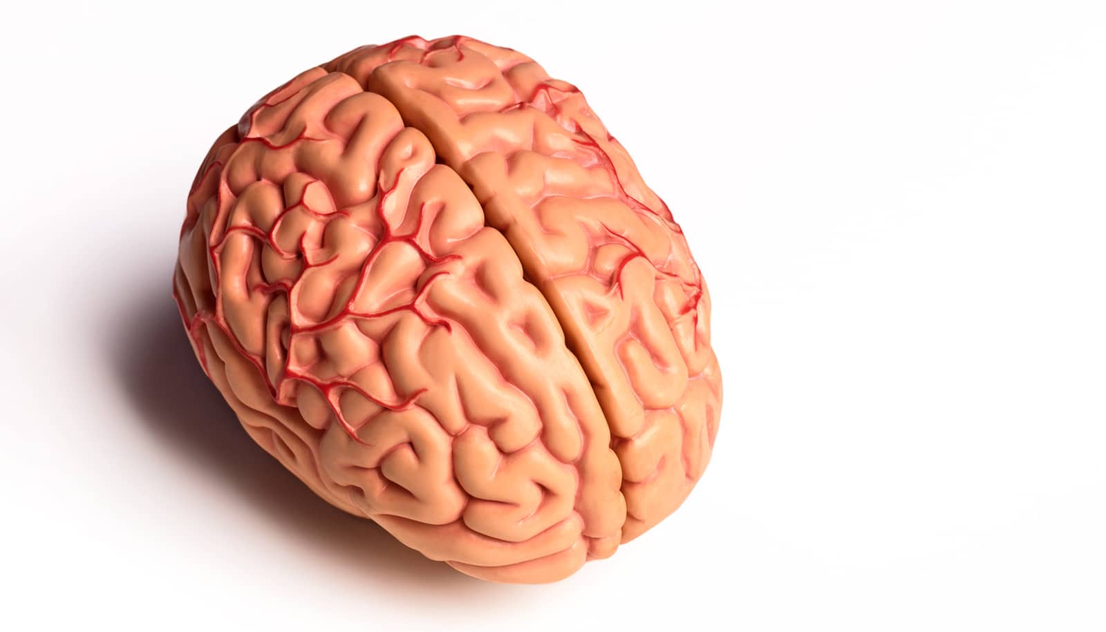 'Flight simulator' reveals how brains misfire