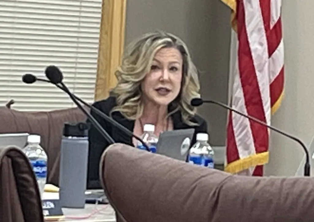 Naperville D203 board member Melissa Kelley Black censured again