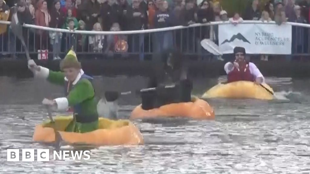 Watch: Dozens of giant pumpkins hit the water for rowing race