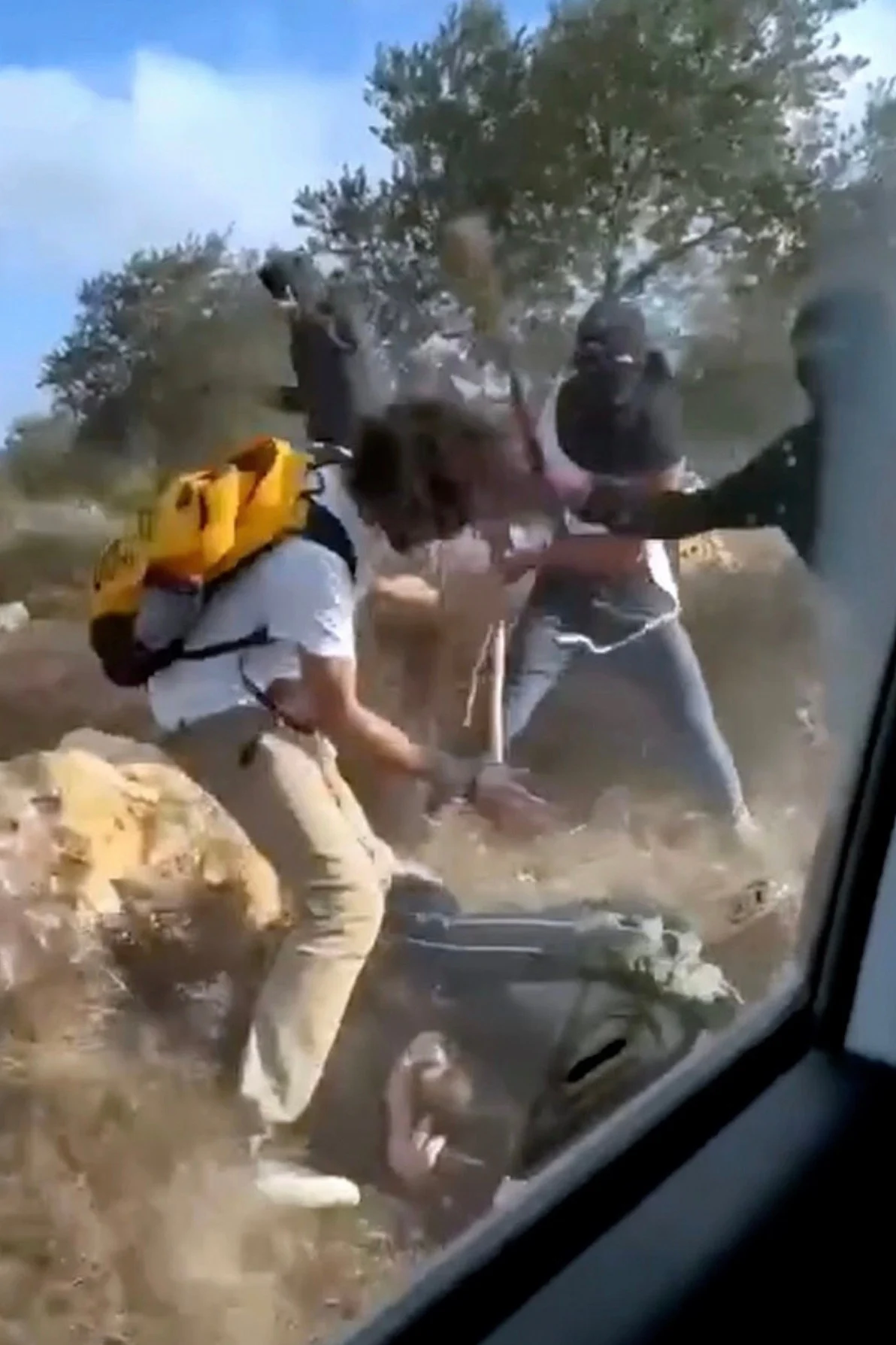 Videos show Israeli settlers attacking Palestinian olive harvesters in West Bank