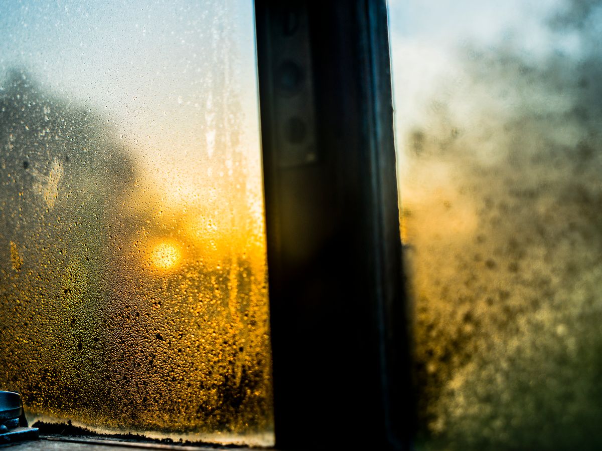 Little-known £1 item that helps keep windows free from condensation