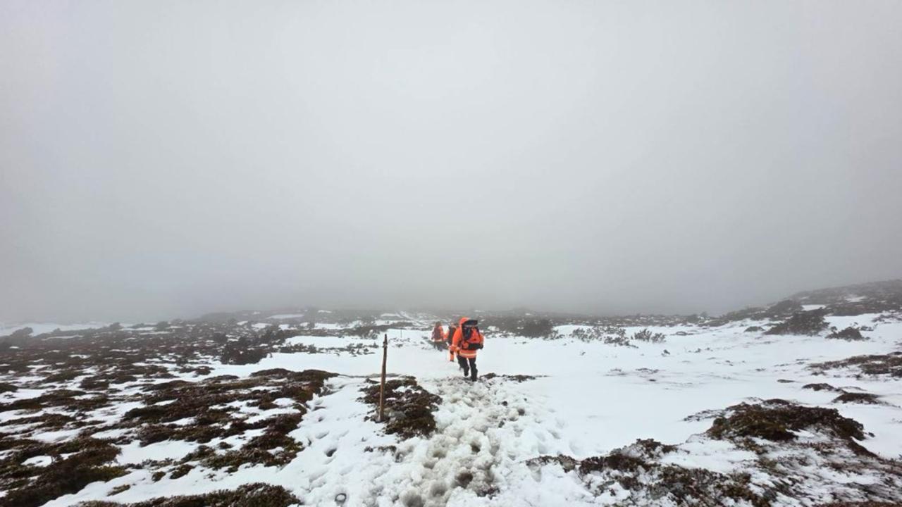 Tourist dies, three rescued in hiking tragedy