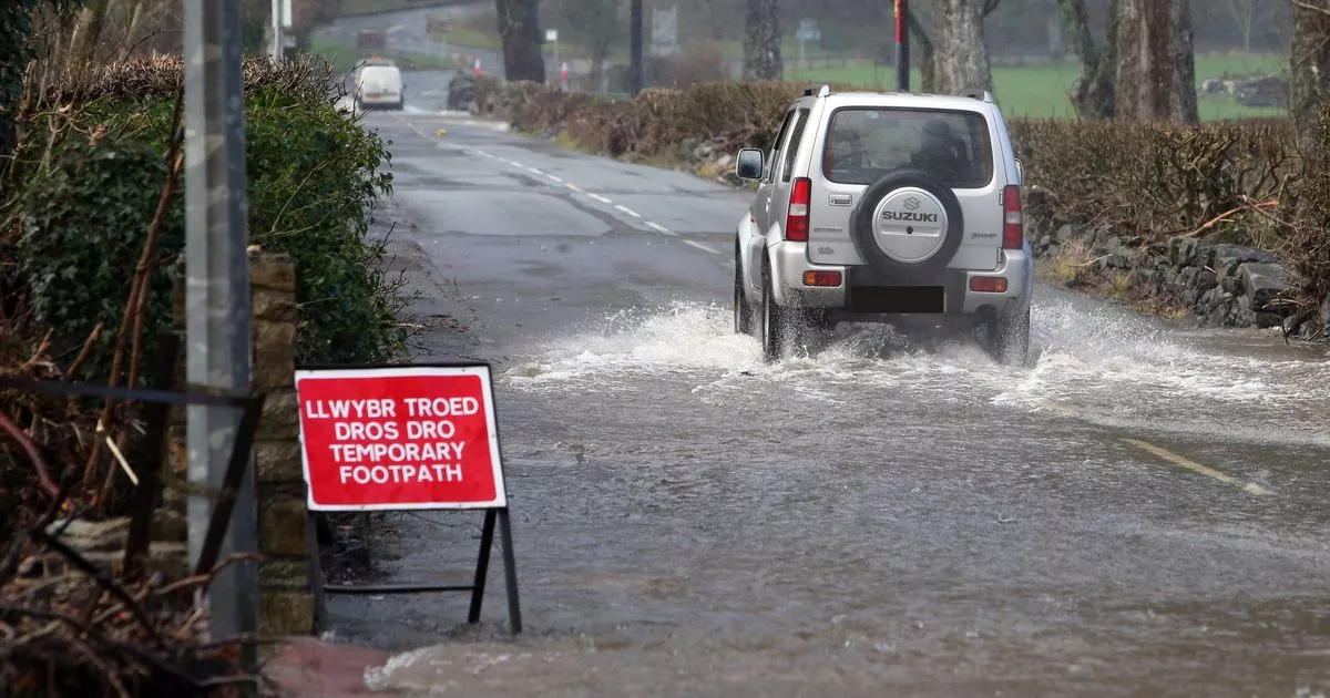 Drivers given tips on staying safe on our roads in autumnal weather