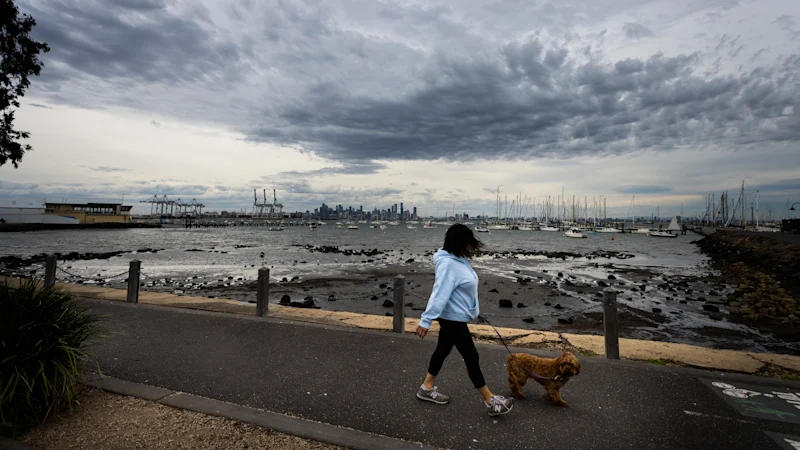 Melbourne weather LIVE: SES and BoM issue warnings for damaging winds likely to cause damage across Victoria