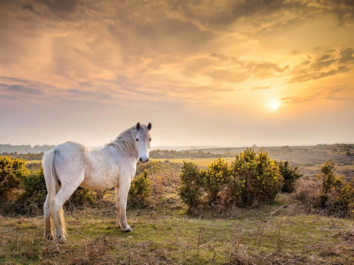 'Dreamy' October destination 'best seen in Autumn' offers 'cosy getaway'