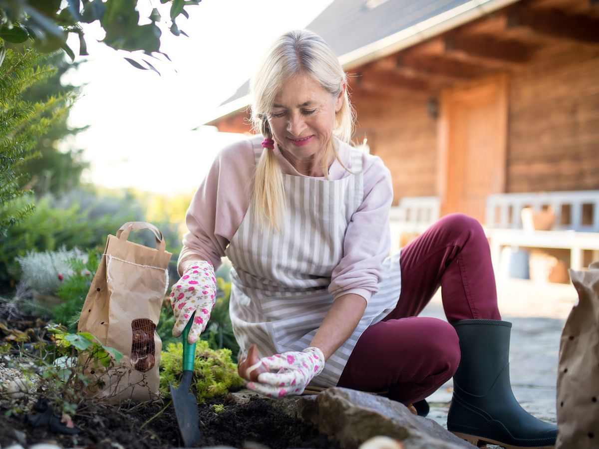 10 essential gardening jobs that must be done by the end of October