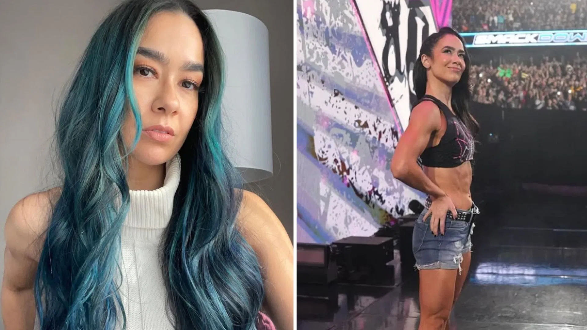 AJ Lee confirms major appearance amid WWE absence