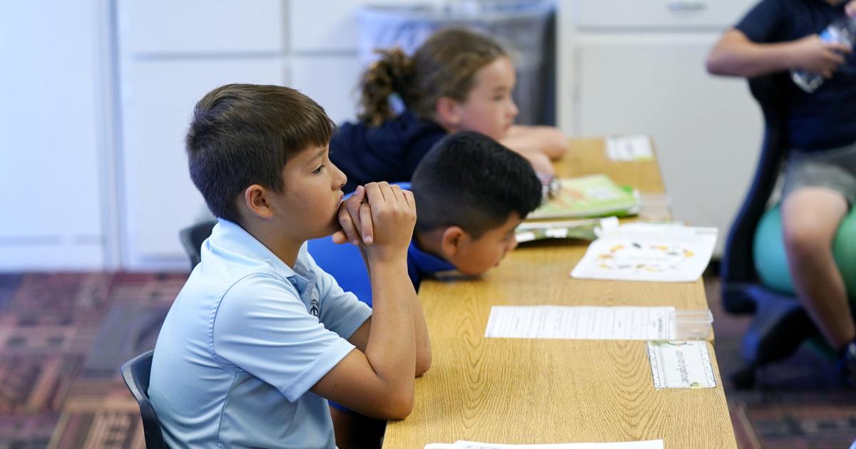 Editorial: Legislature rewrote SC voucher law, but didn't close the fraud loophole