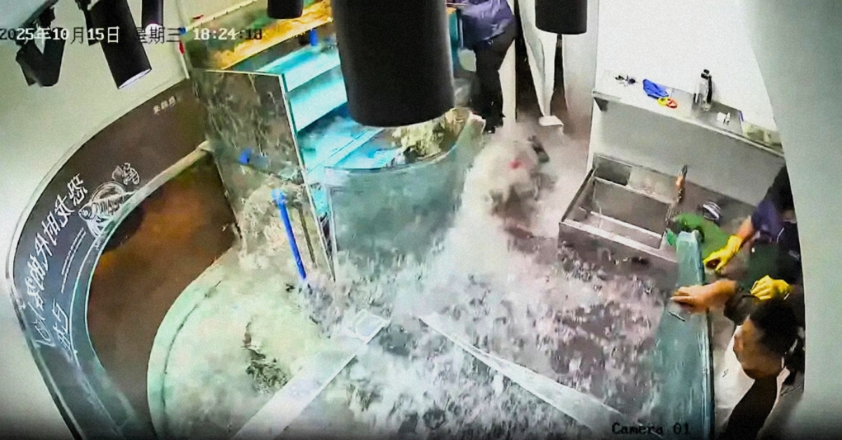 A Fish Tank Exploded at a Chinese Restaurant-and the Footage Is Kind of Hilarious