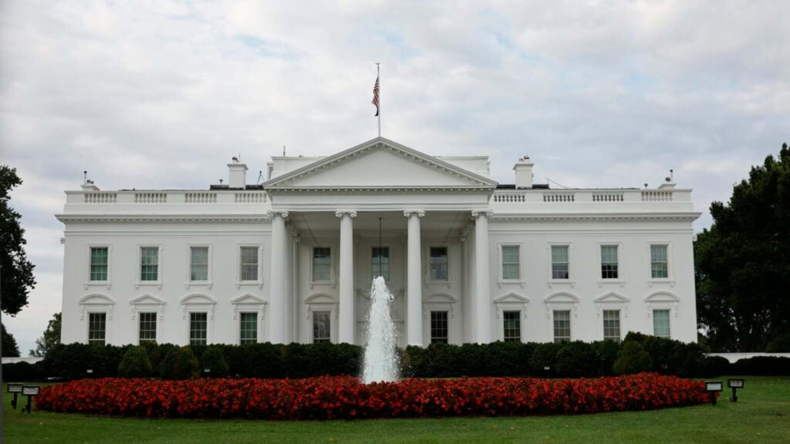 Former UFC champion changes direction on comeback he was ‘longing for’ to target the White House
