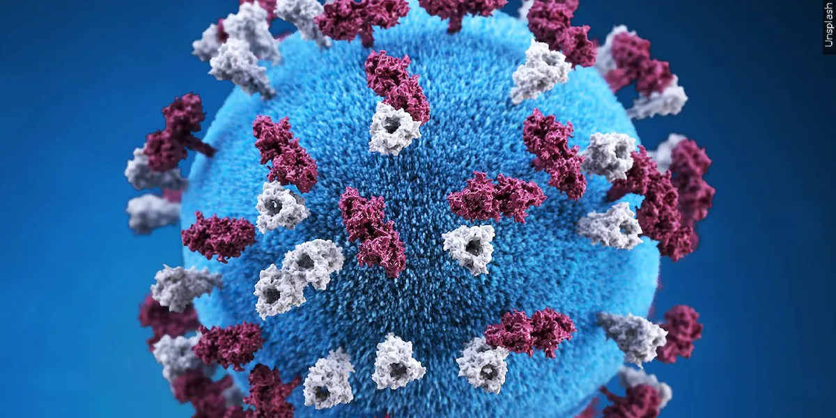 Four more measles cases reported in SC, linked to gym, school cases