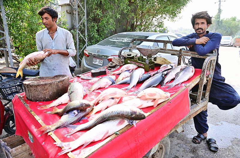 A vendor displaying fish to attract the customers on handcart.