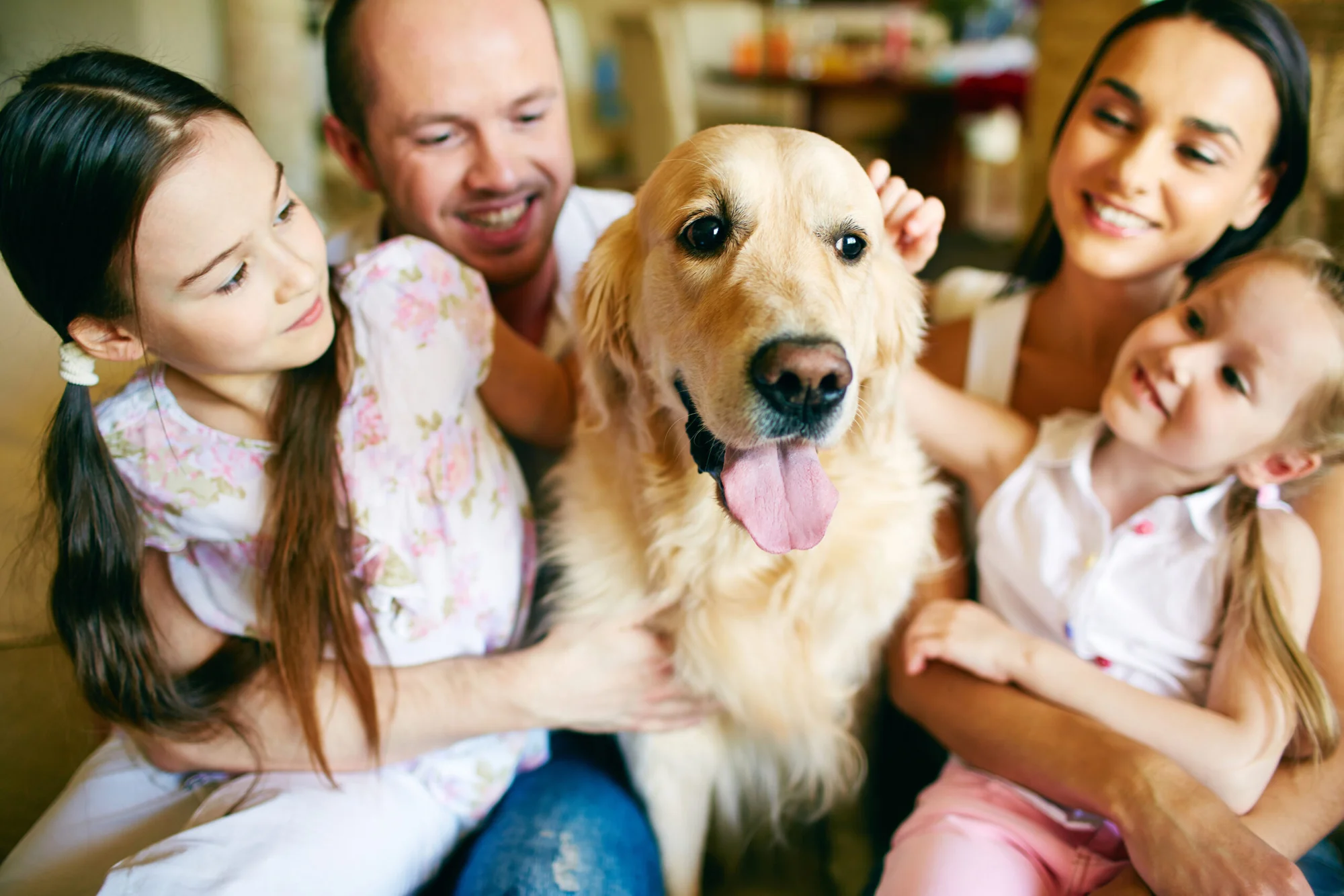 Babies exposed to dogs may have lower risk of asthma, study finds