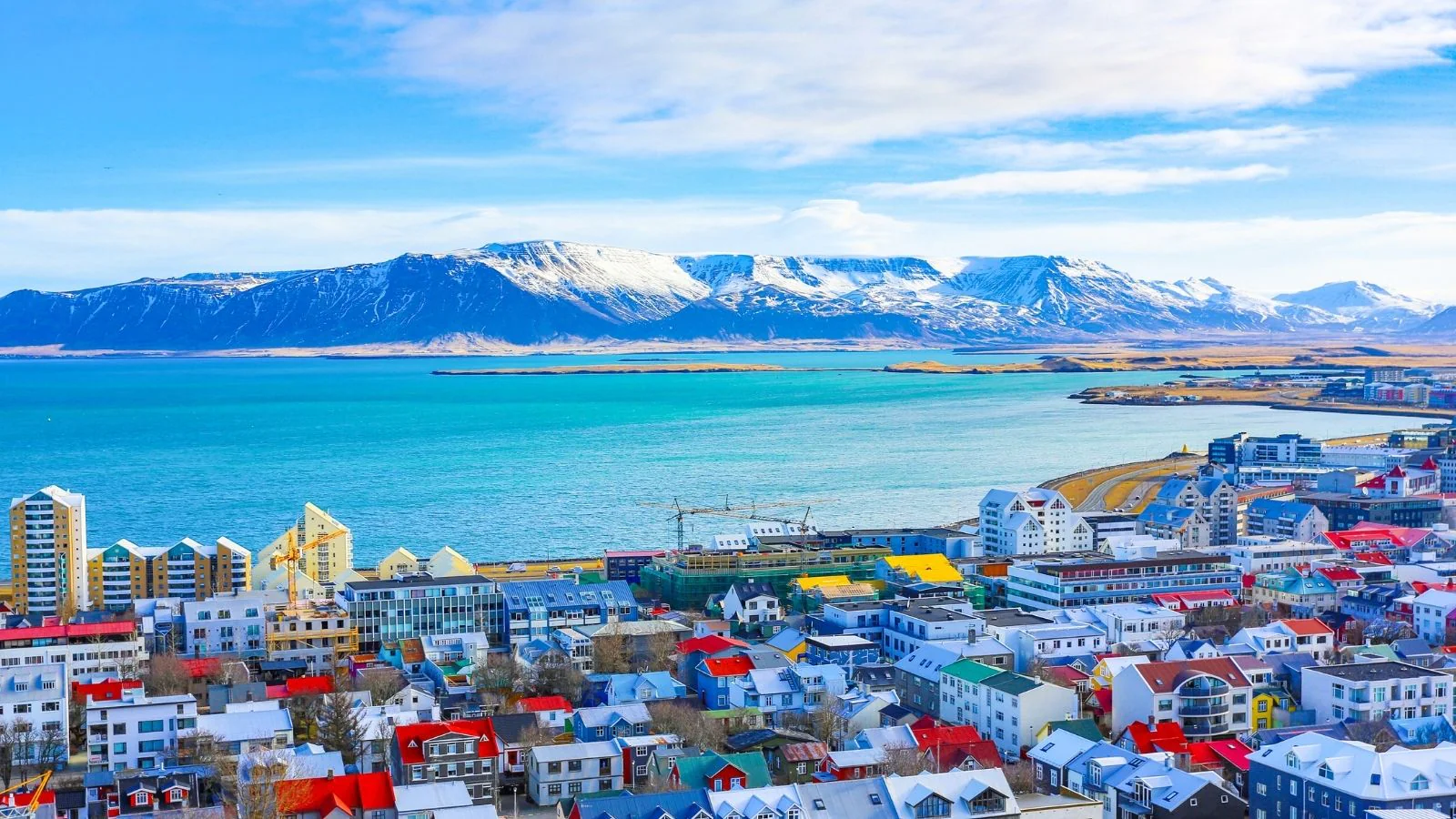 Climate Shift Brings Mosquitoes To Iceland: A Chilling Wake-Up Call
