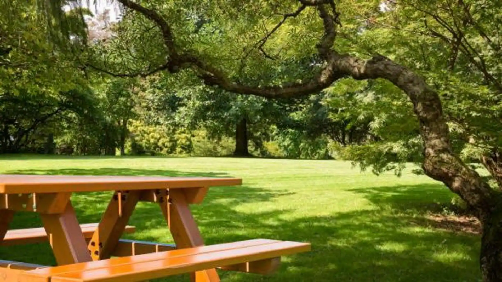 5 must-visit picnic spots in Japan