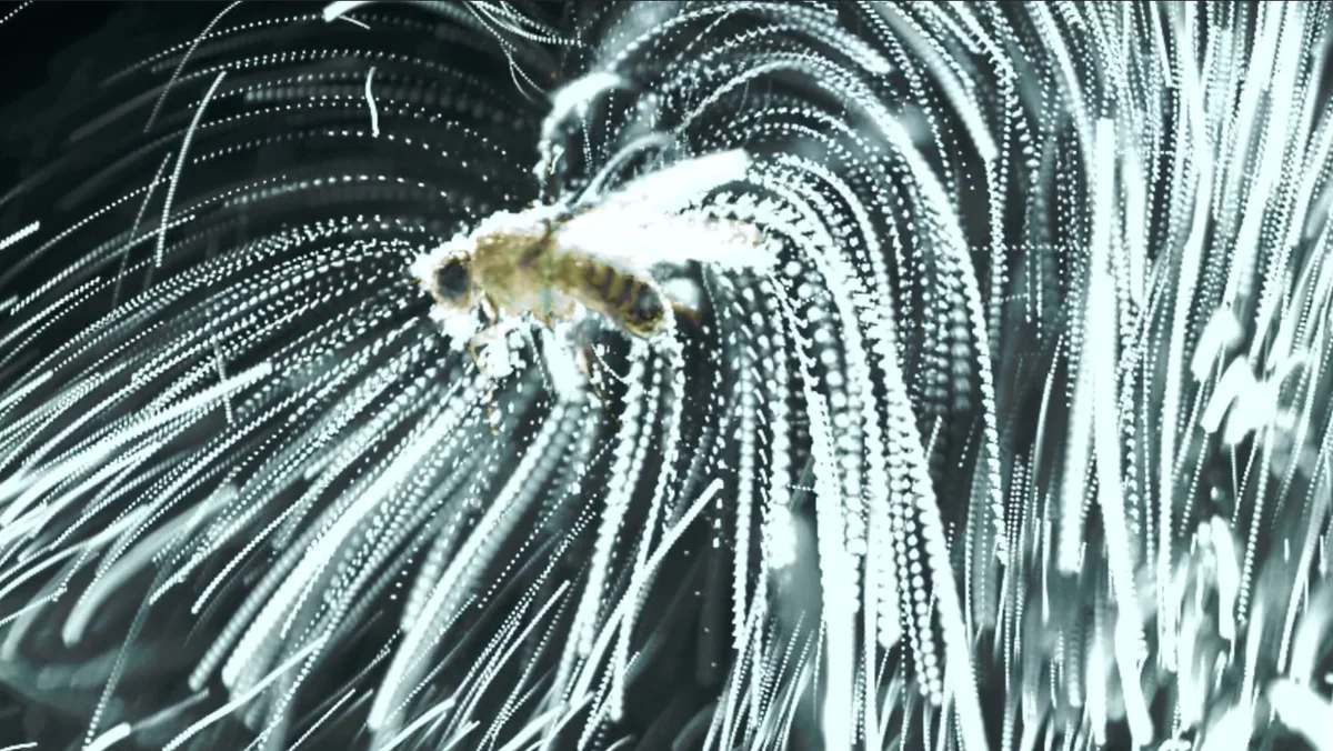 Static Electricity Helps Parasitic Nematodes Leap onto Insects