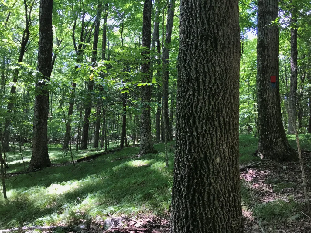 A little fee many CT residents pay adds up to very big bucks