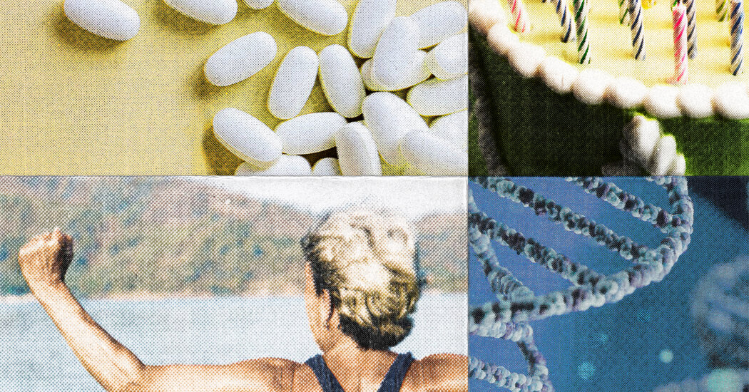 N.A.D.+ Boosting for Longevity: What to Know