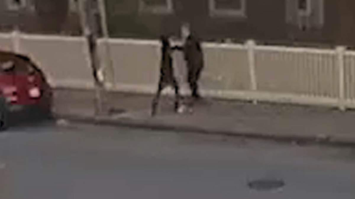 Shocking video shows moment ex-Massachusetts mayor is stabbed in neck on street