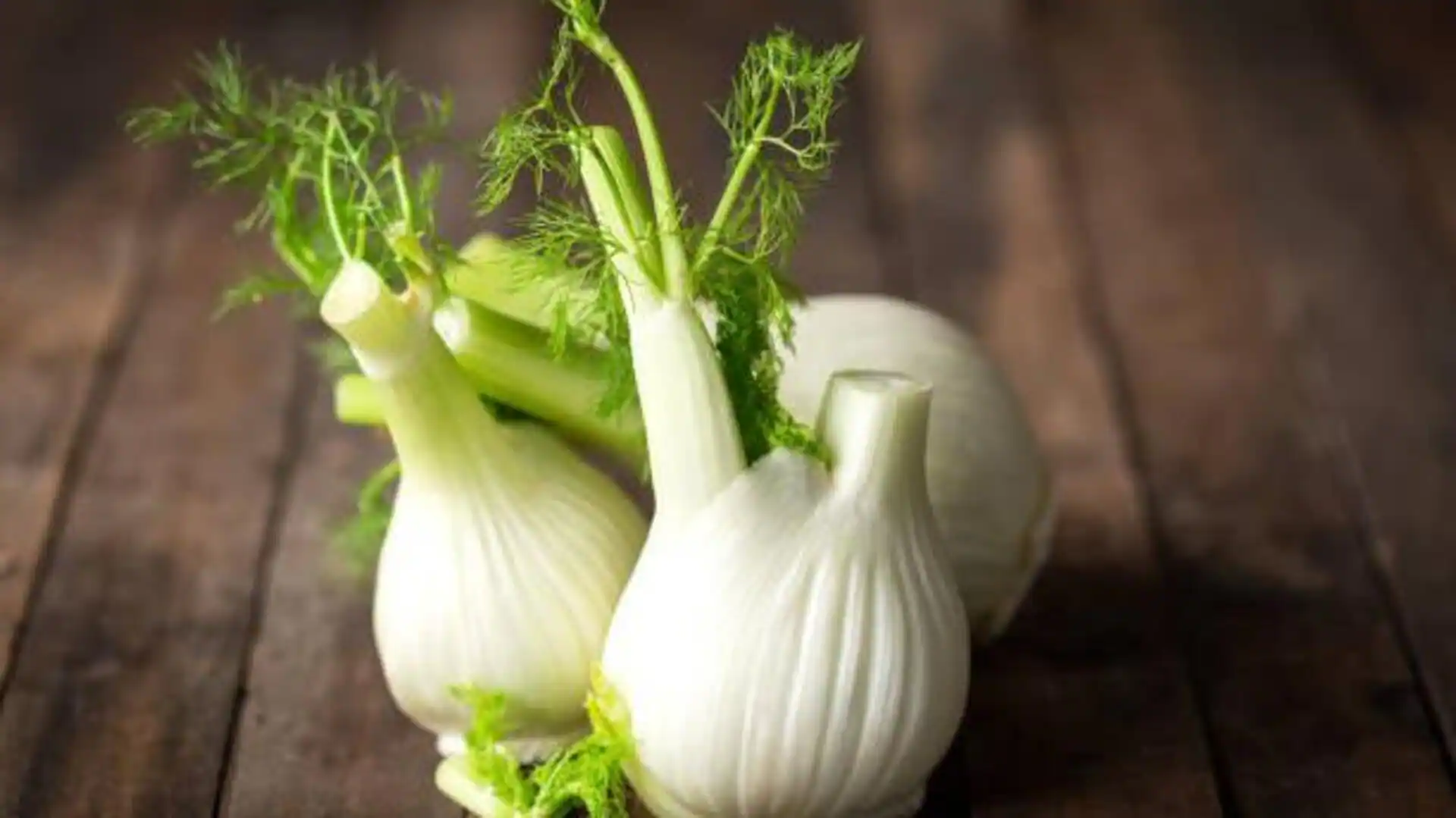 How to add fennel to your daily meals