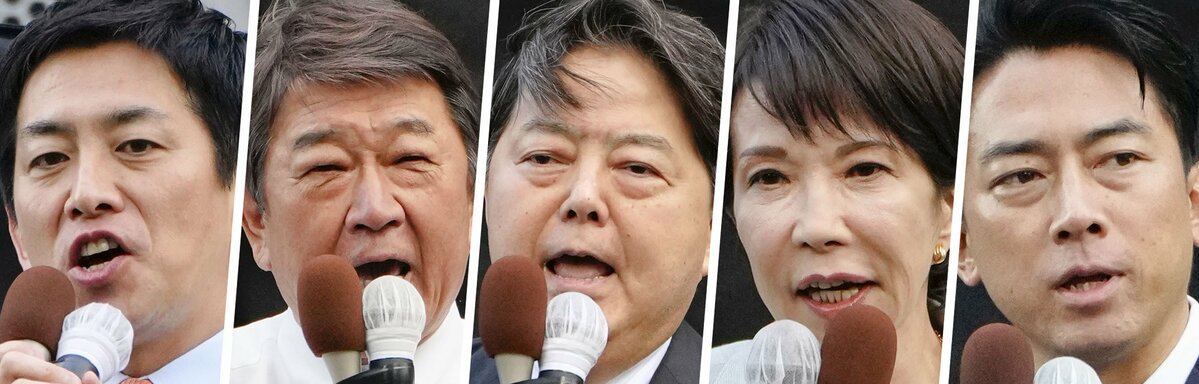 Majority of LDP local chapters back tighter foreigner land purchase rules