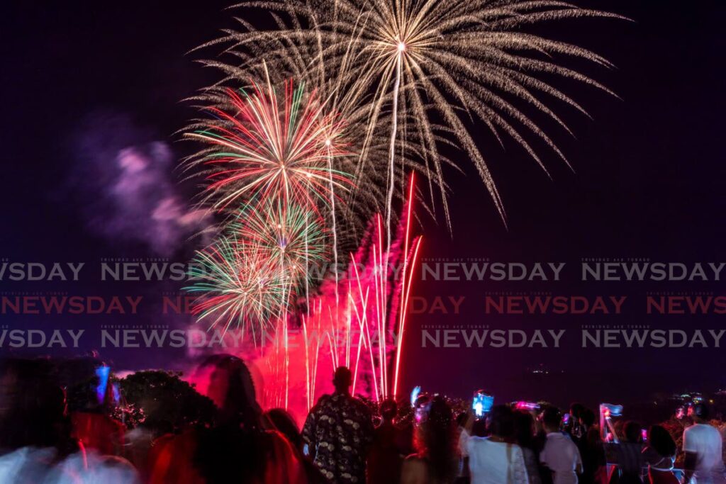 Time to ban fireworks for good