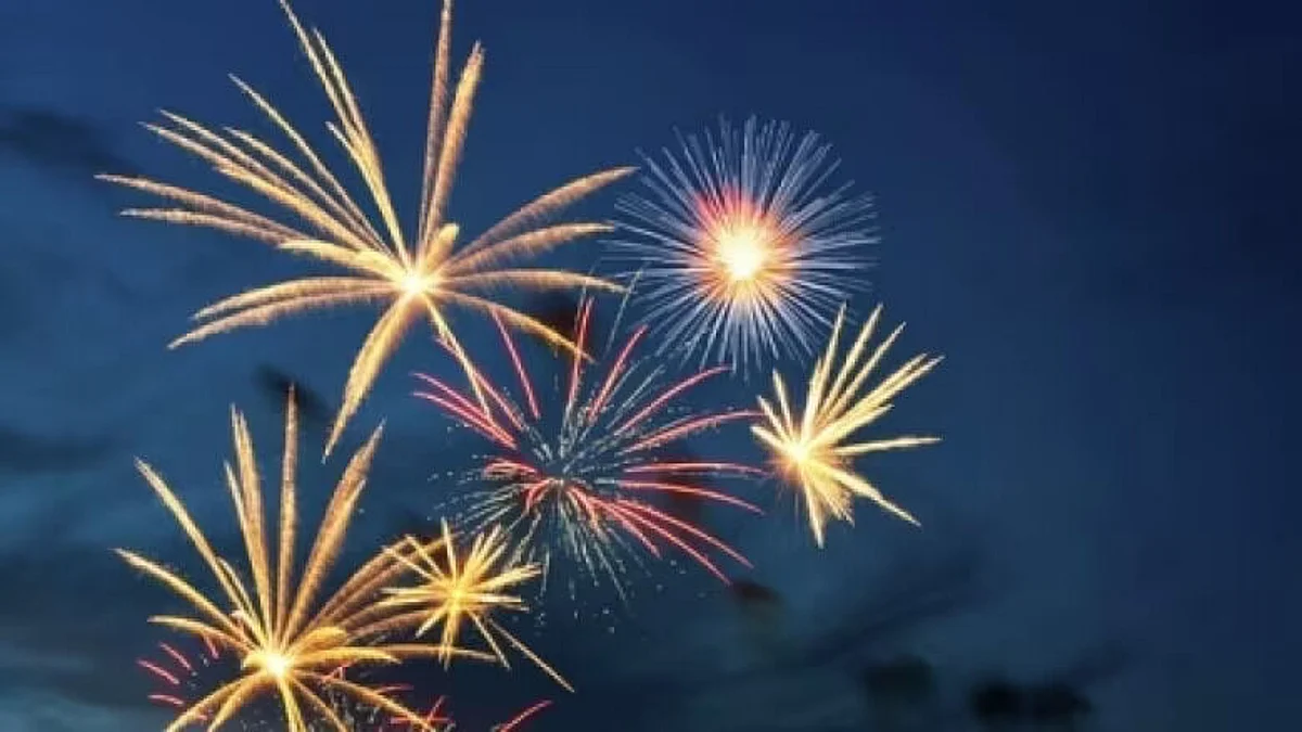 Diwali fireworks chaos sparks fires and over 160 complaints across northeast Calgary