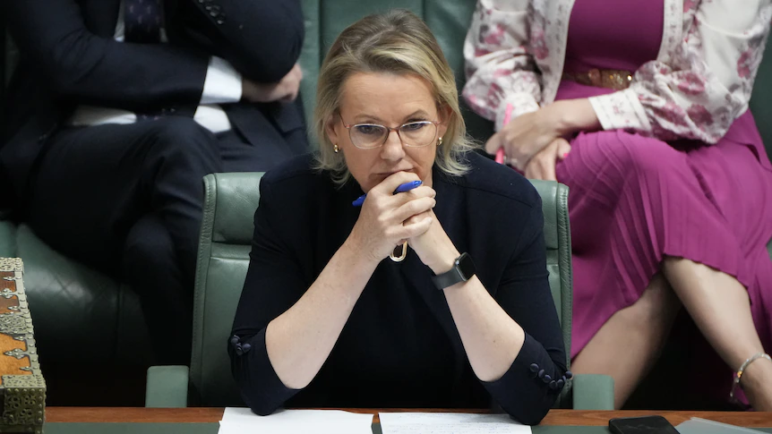 Coalition sours over proposed reform to 'broken' environment laws
