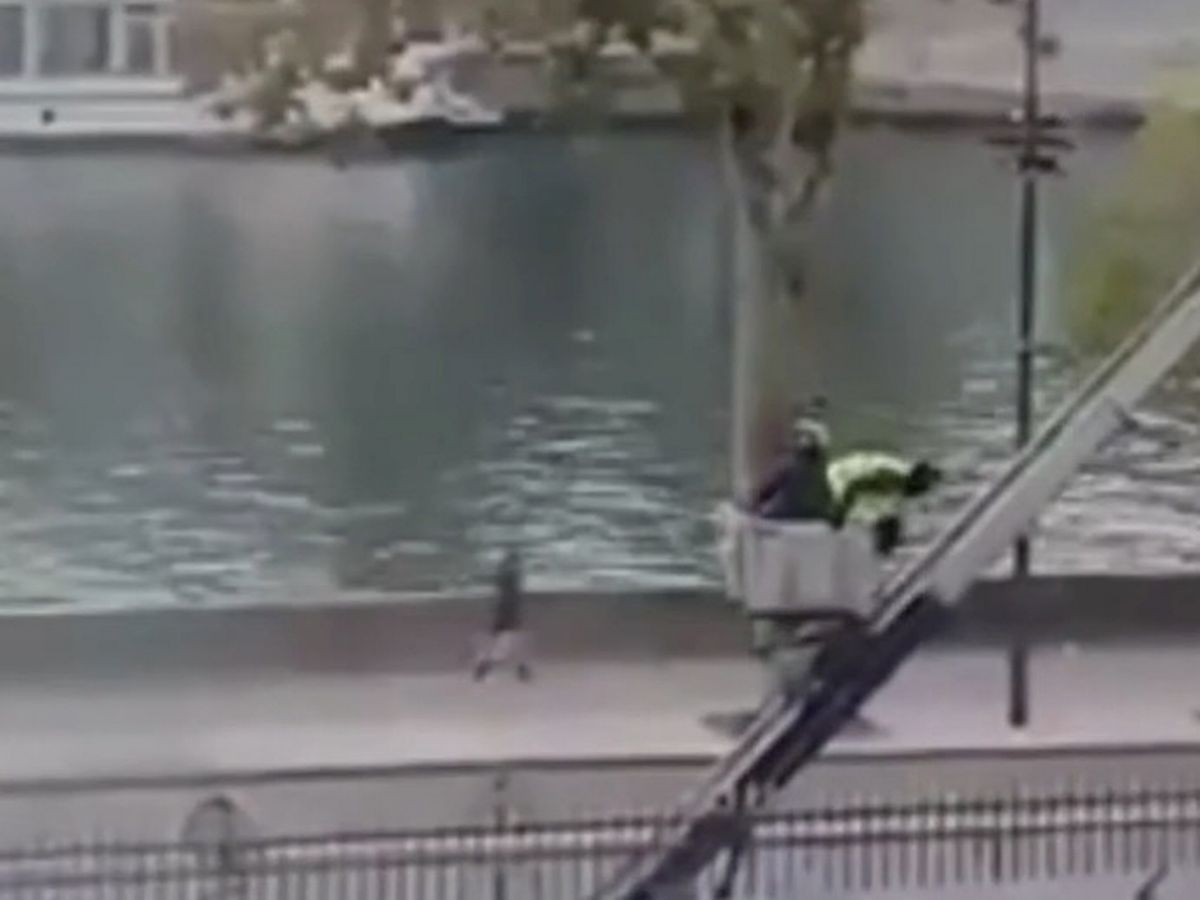 Louvre thieves caught on camera making slow getaway with French crown jewels