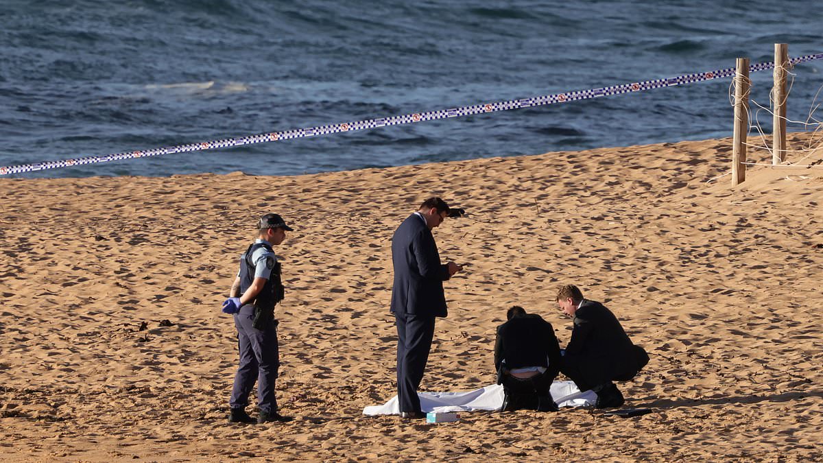 Woman is found dead at Mona Vale beach, Sydney covered in blood and with 'stab wounds'