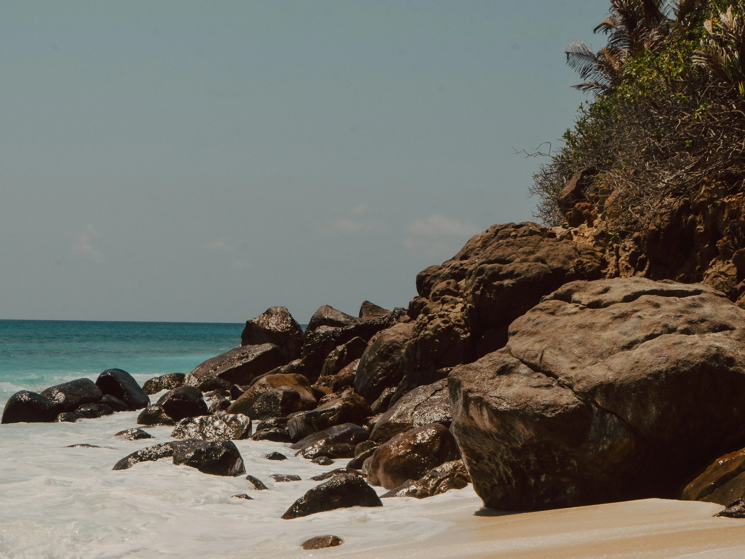 From The Homeland To The Motherland: A Beauty Pilgrimage With The Coco de Mer