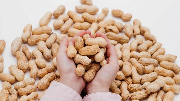 Peanut Allergies In Children Have Dropped Significantly: Study