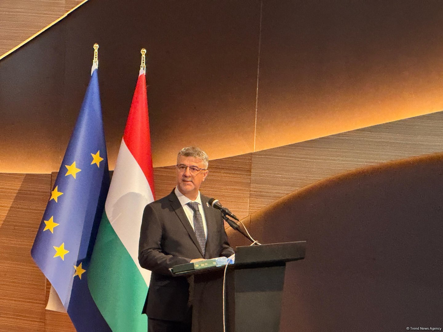 SOCAR partnership with MOL and MVM strengthens Hungary’s energy security – ambassador