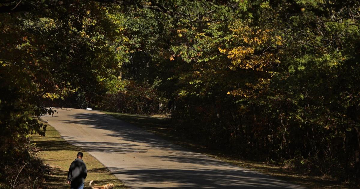 Historic lodge at Babler state park is due for a redo