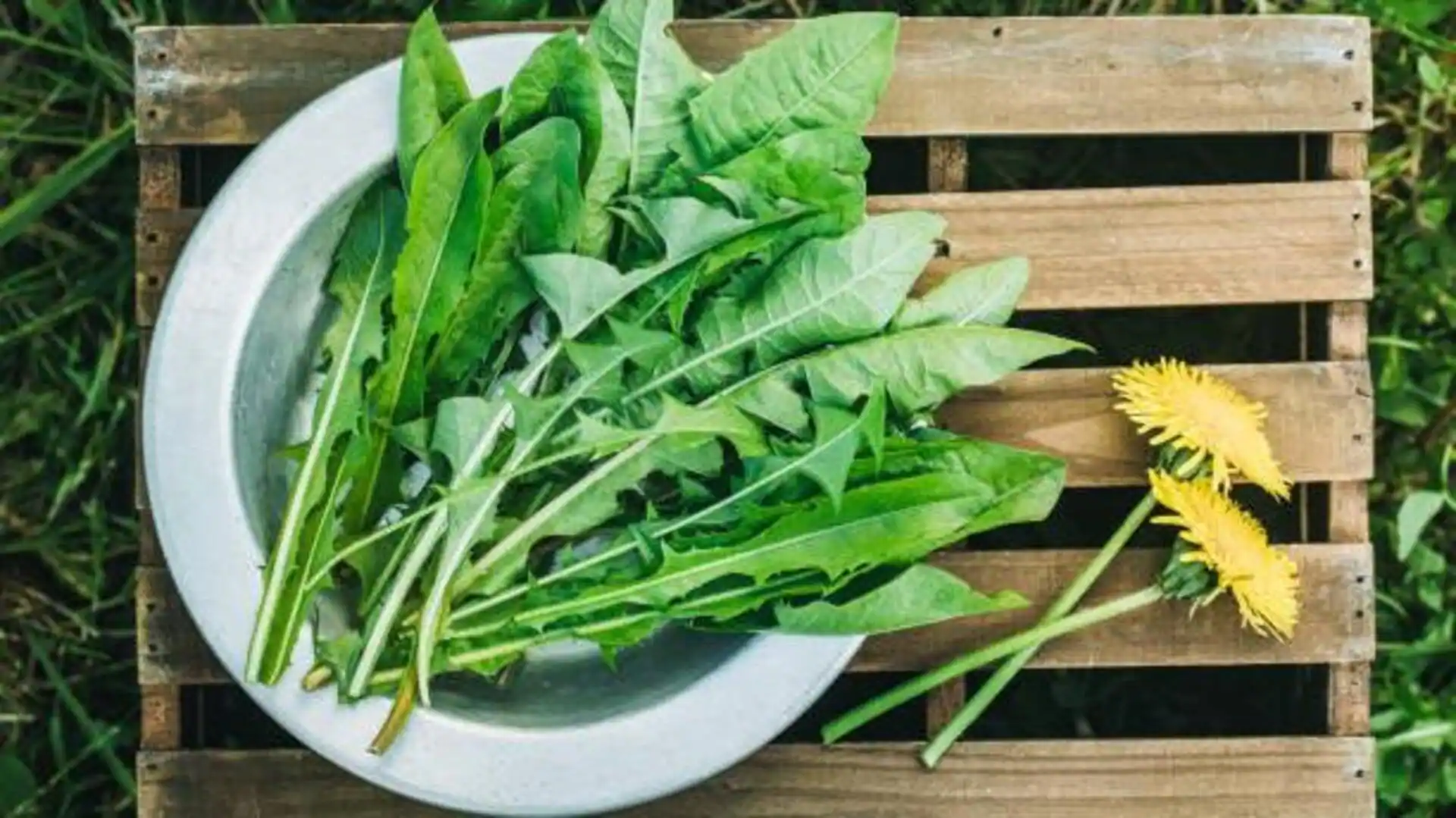 Do dandelion greens detox your liver?