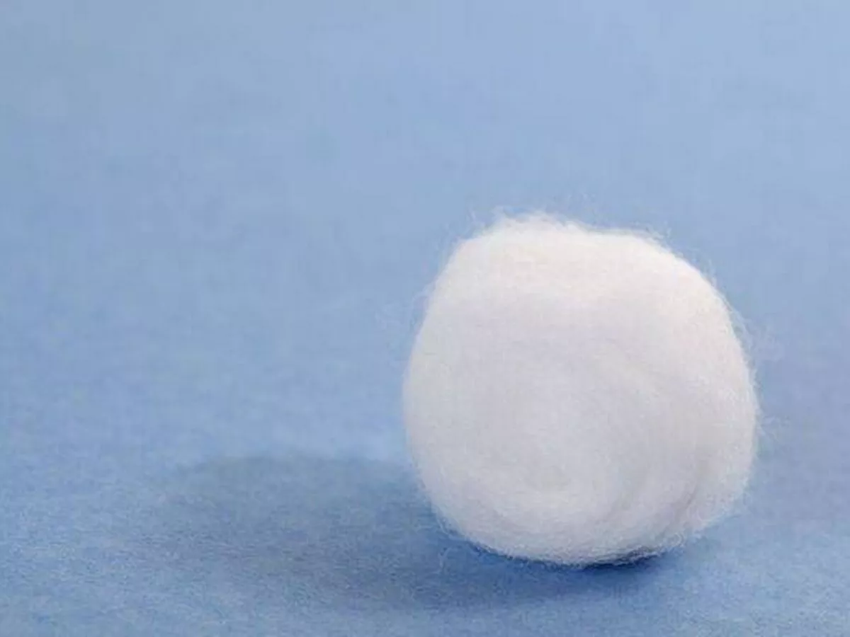 Expert shares clever cotton wool trick for keeping spiders out