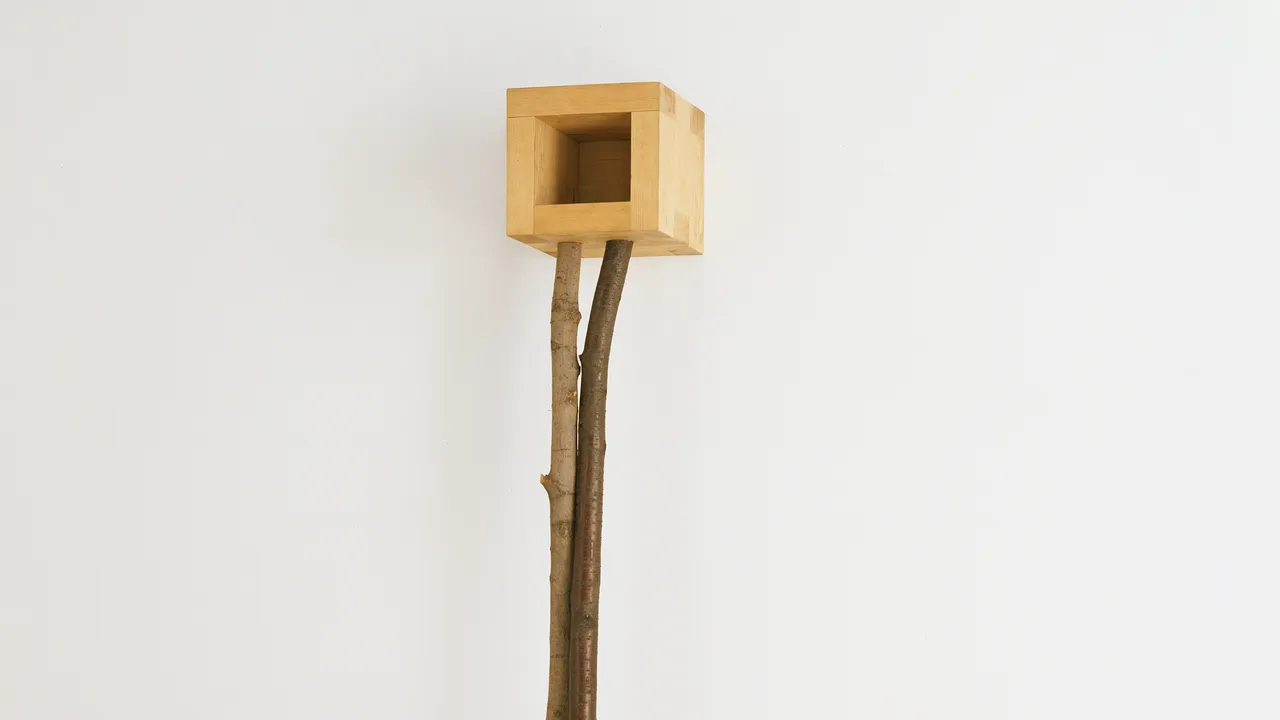 Martin Puryear Changes the World Through Wood