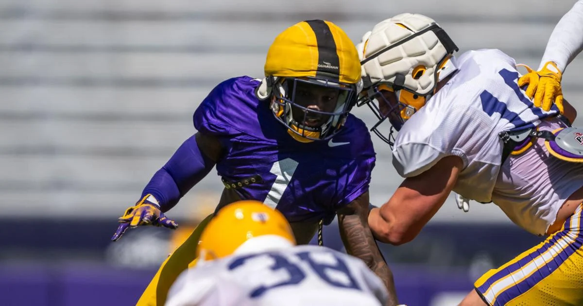 Ashton Stamps, LSU football cornerback leaves team