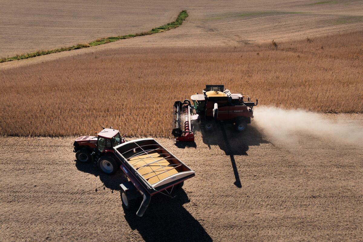 Soy Edges Higher After Trump Says He Will Strike Deal with China
