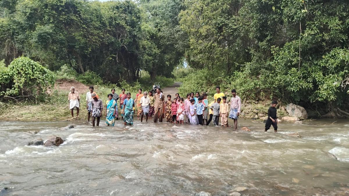 Monsoon cuts off 60 tribal families in Sathyamangalam Tiger Reserve