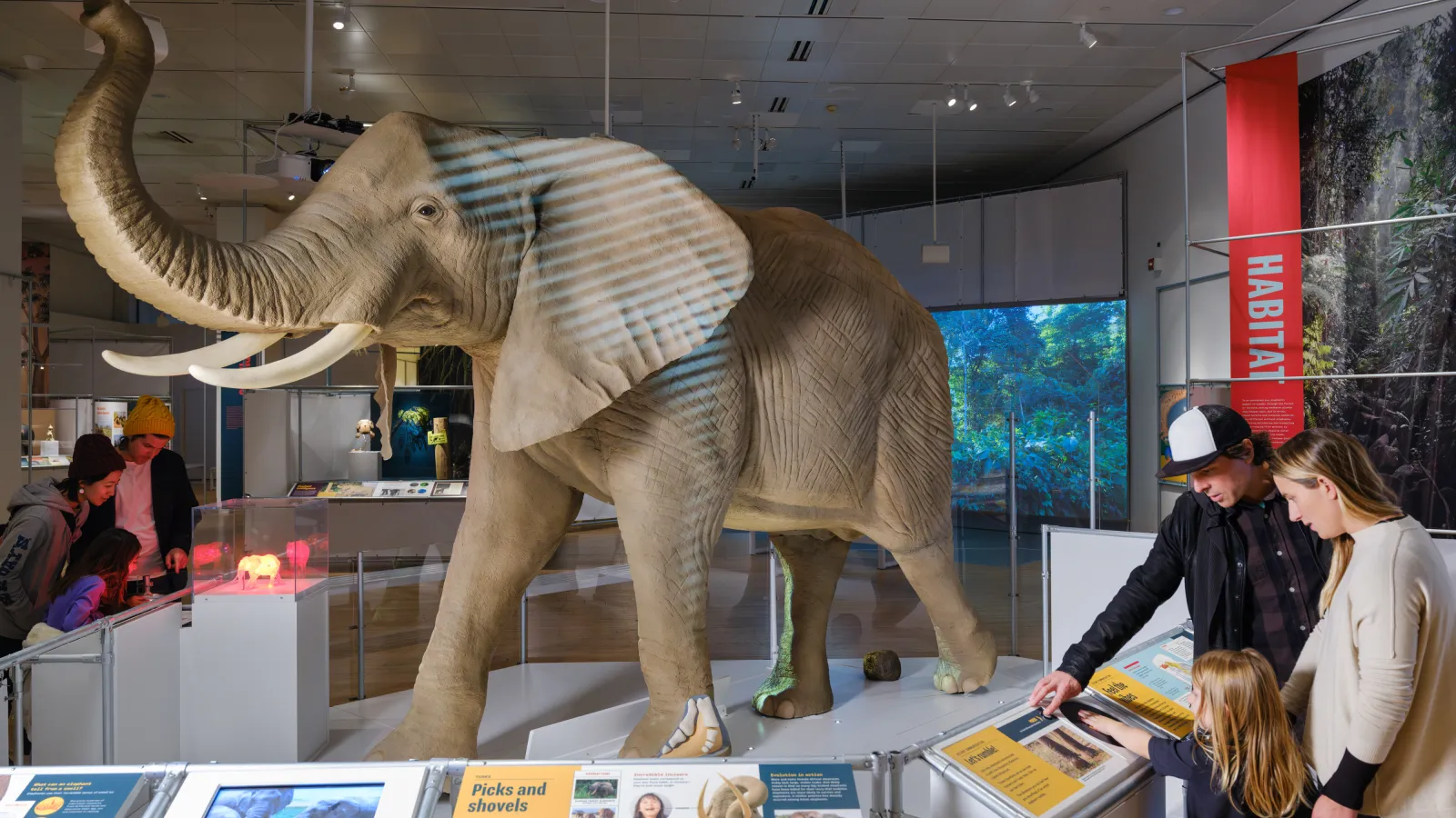 Things to do: Nuggets tip-off party, Bloody Mary fest, elephant exhibit