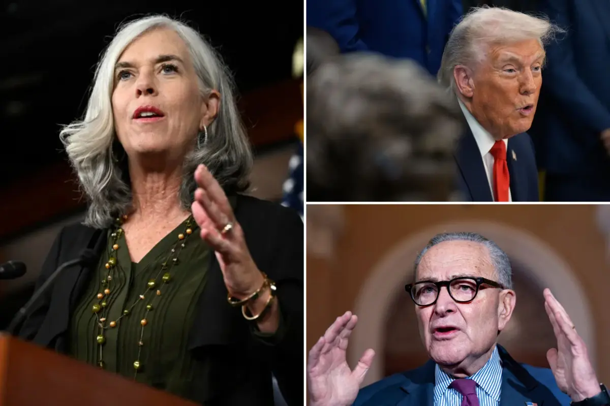 Dems admit to prolonging shutdown for 'leverage,' as Nov. 1 open enrollment deadline nears