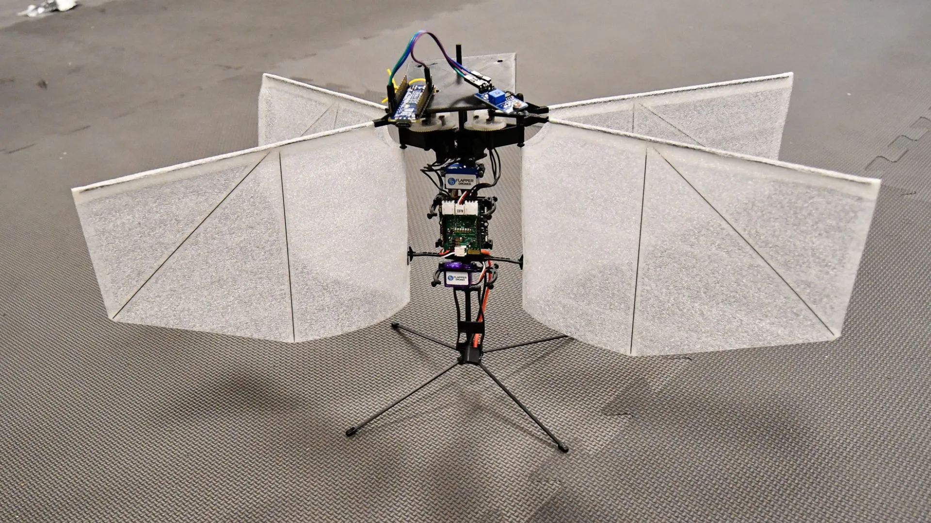 inspired drone flies and hovers with insectlike precision