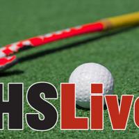 Brynne Capozzoli's late goal lifts Egg Harbor Township