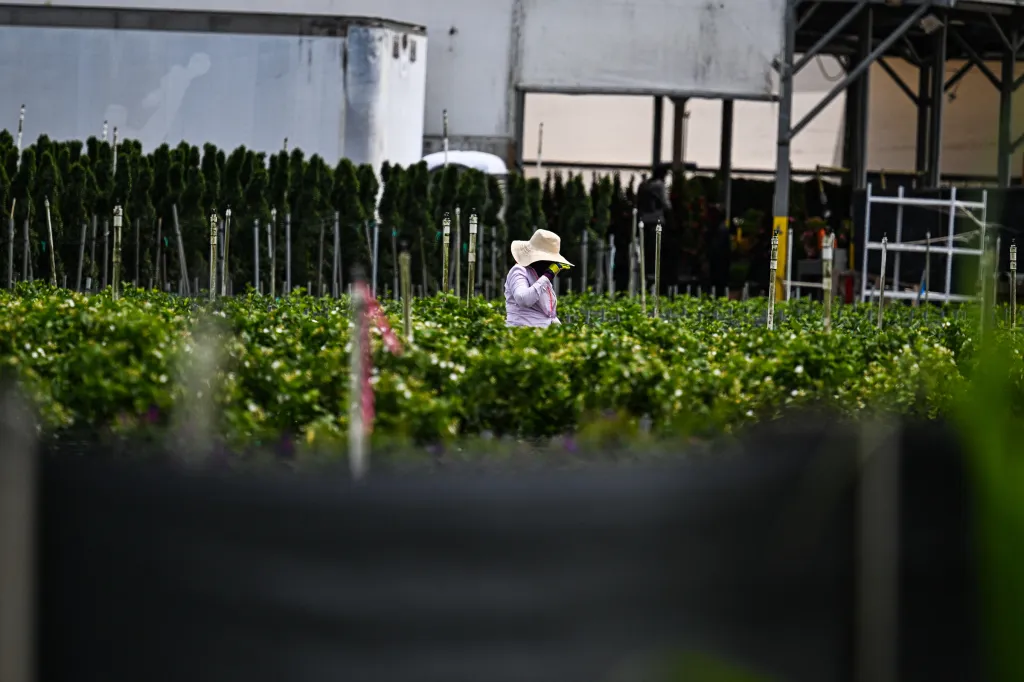 ICE raids are threatening the nation's food supply
